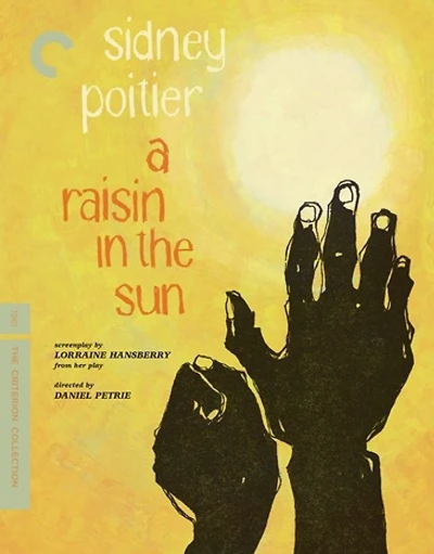 A Raisin in the Sun - NEW