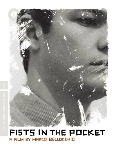 Fists in the Pocket - NEW