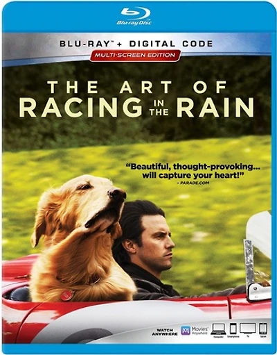 The Art of Racing in the Rain - USED