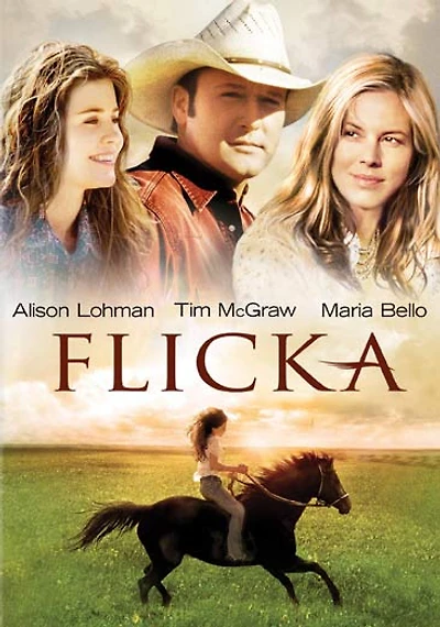 Flicka - USED