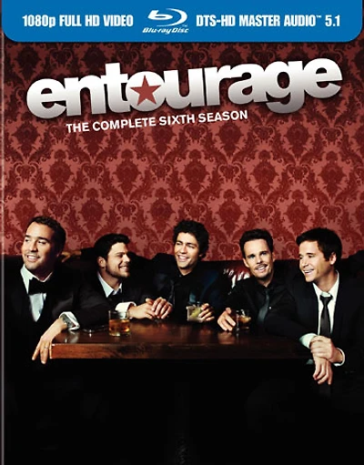Entourage: The Complete Sixth Season - USED