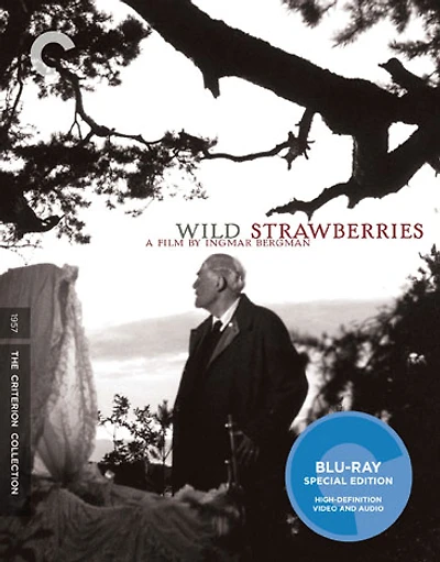 Wild Strawberries - USED
