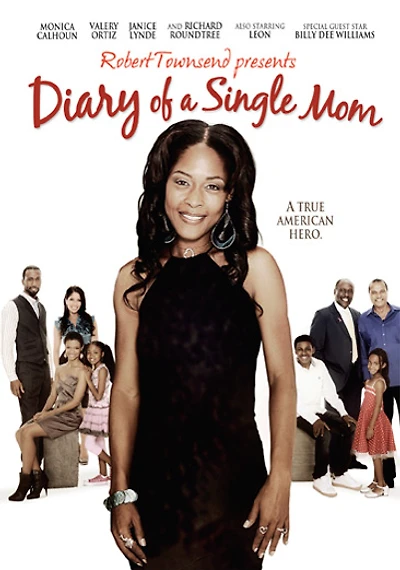 Diary of a Single Mom - USED