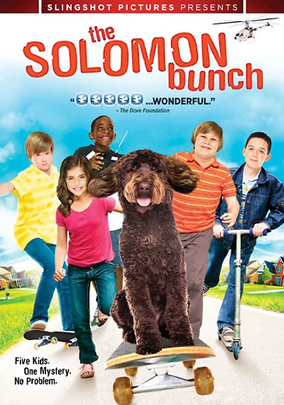 The Solomon Bunch - USED