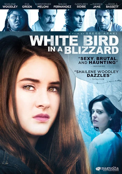 White Bird in a Blizzard - USED