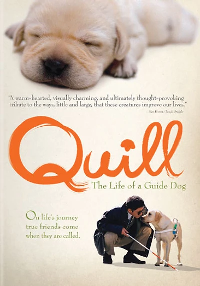 Quill: The Life of a Guide Dog - USED