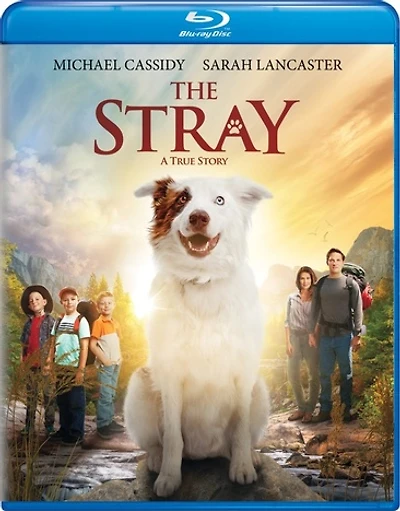 The Stray - NEW