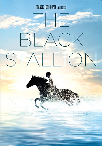 The Black Stallion - USED