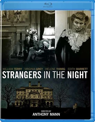 Strangers in the Night - NEW