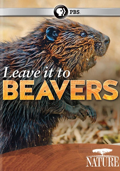 Nature: Leave It to Beavers - NEW