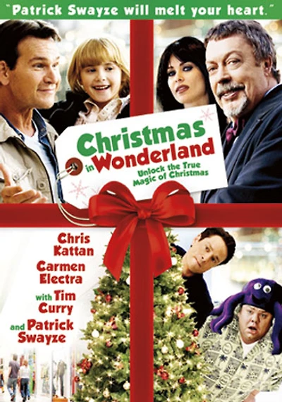 Christmas in Wonderland - USED
