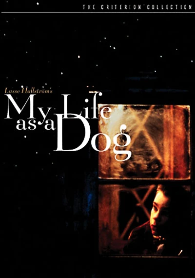 My Life As A Dog