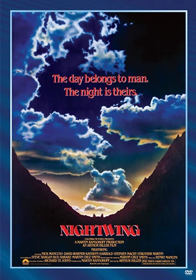 Nightwing - NEW