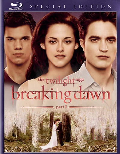 The Twilight Saga: Breaking Dawn - Part 1 - USED