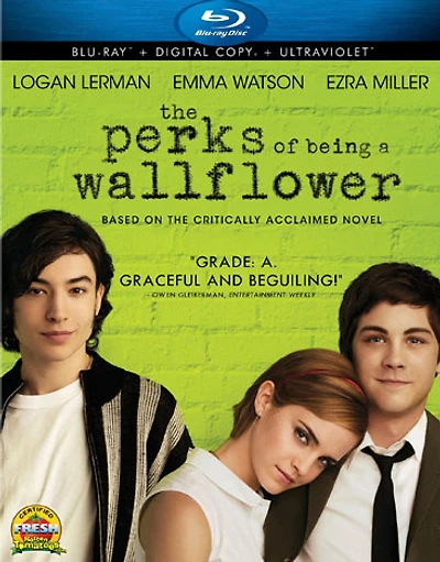 The Perks of Being a Wallflower - USED