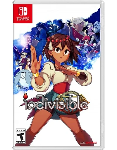 Indivisible - Nintendo Switch - USED
