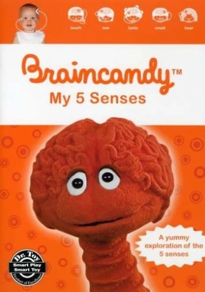 Braincandy: My Five Senses - NEW