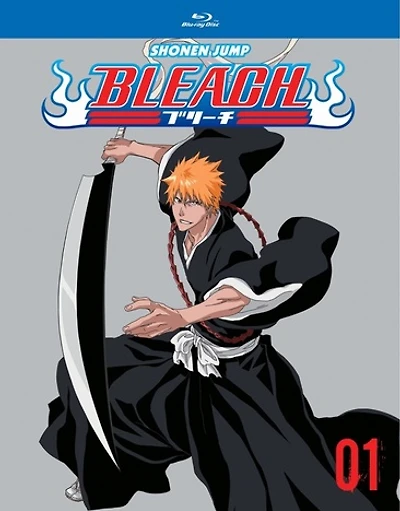Bleach Box Set 1 - USED
