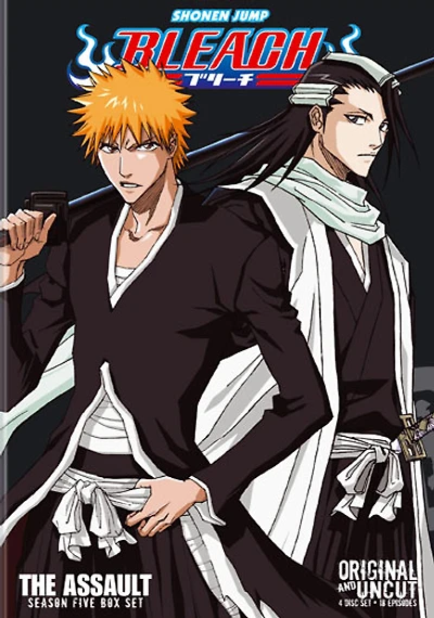 Bleach Box Set 5 - NEW
