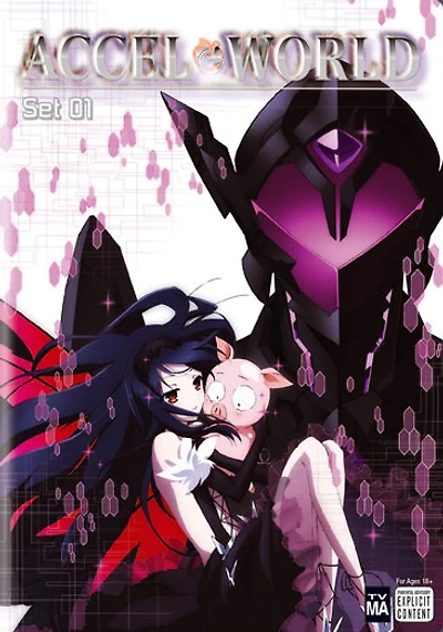 Accel World: Set 1 - USED
