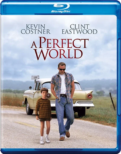 A Perfect World - USED