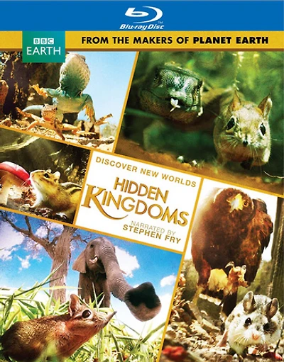 Hidden Kingdoms - USED