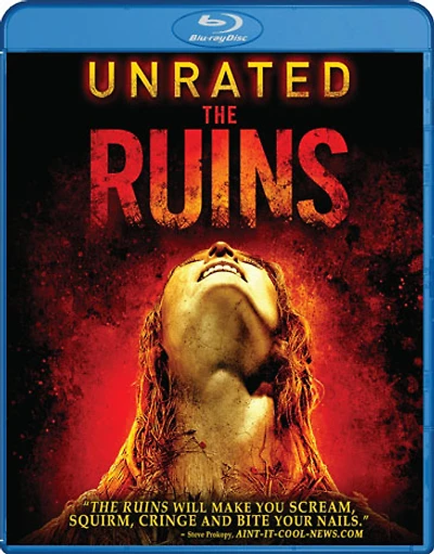 The Ruins - USED