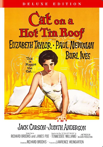 Cat On A Hot Tin Roof - USED