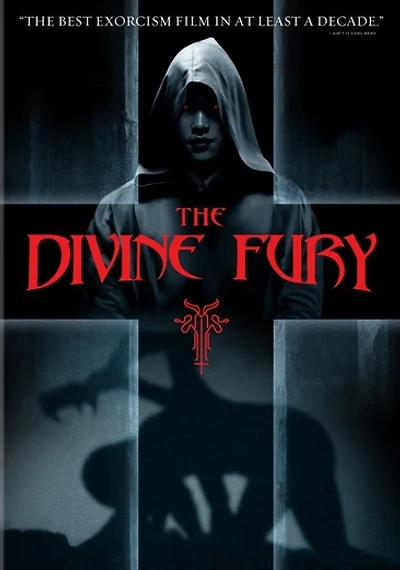 The Divine Fury - USED