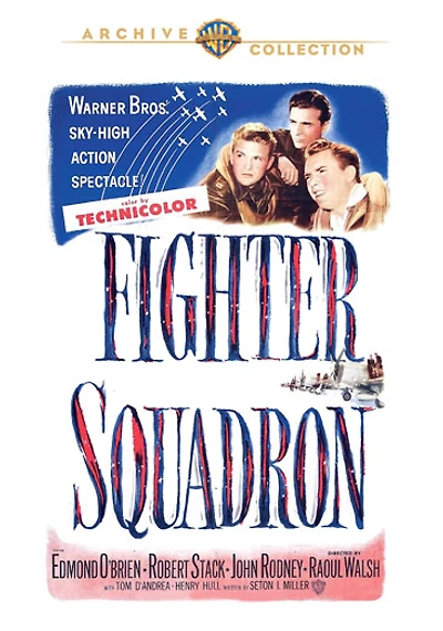 Fighter Squadron - USED