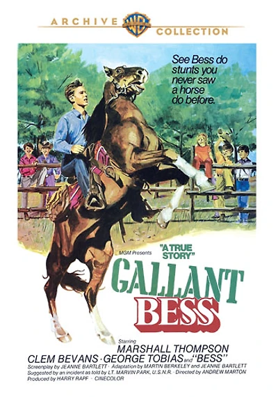 Gallant Bess - USED