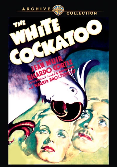 White Cockatoo - NEW