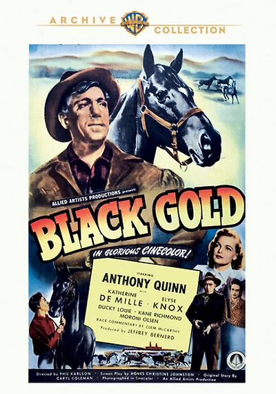 Black Gold - NEW