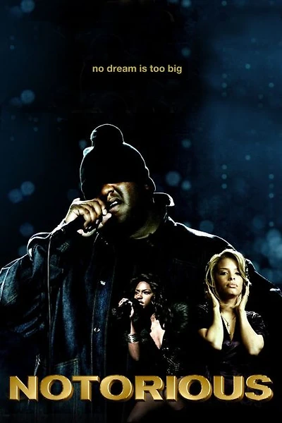 NOTORIOUS (NO FEAT) - USED