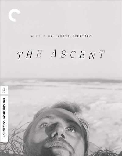 The Ascent - NEW
