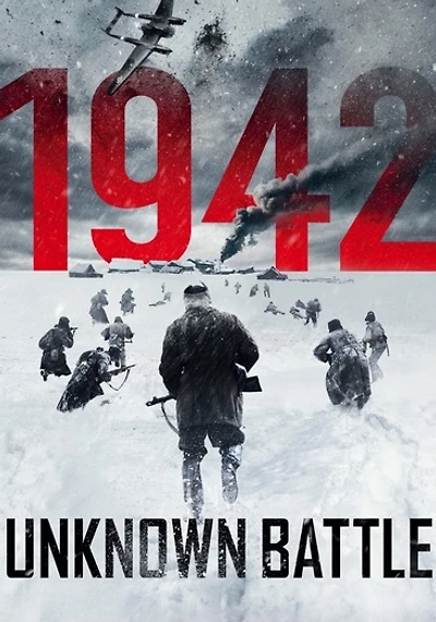 1942: Unknown Battle - USED