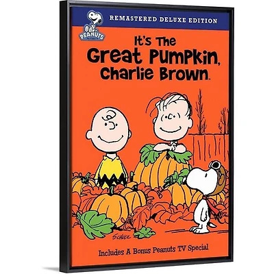 It's the Great Pumpkin, Charlie Brown - USED