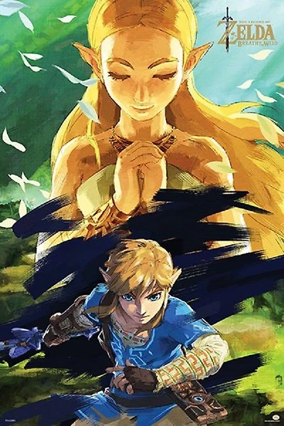 Zelda - BOTW Zelda & Link* - NEW