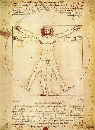 Da Vinci - Vitruvian Man - NEW