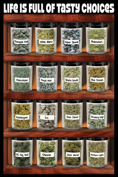 Life is Full of Choices - NEW