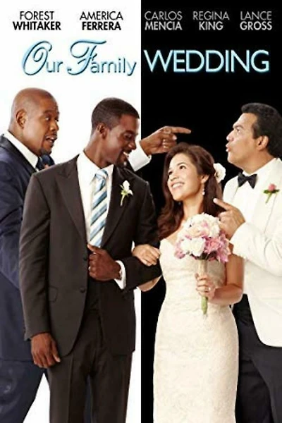OUR FAMILY WEDDING (NO FEAT) - USED