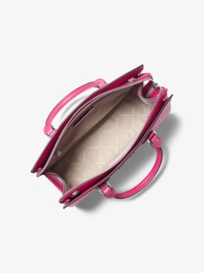Sheila Medium OmbrÃ© Signature Logo Satchel