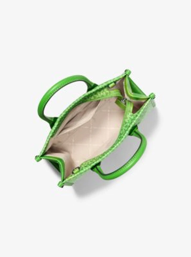 Mirella Small OmbrÃ© Signature Logo Crossbody Bag