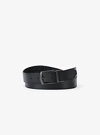 Reversible Belt
