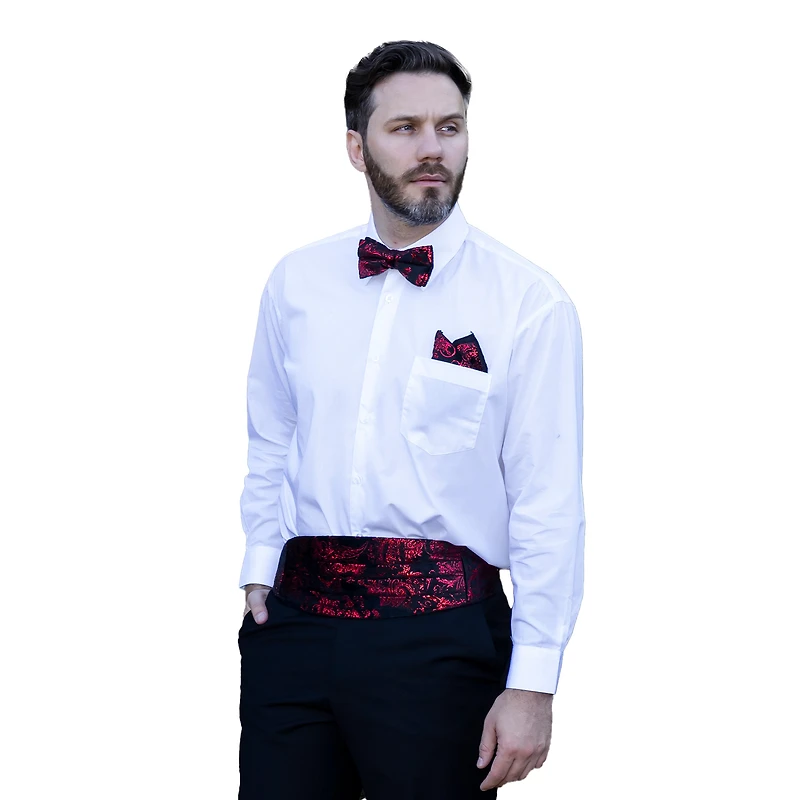 Gioberti Men's Adjustable Satin and Paisley Cummerbund Set