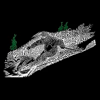LA Pop Art Men's Word Ski Graphic T-Shirt
