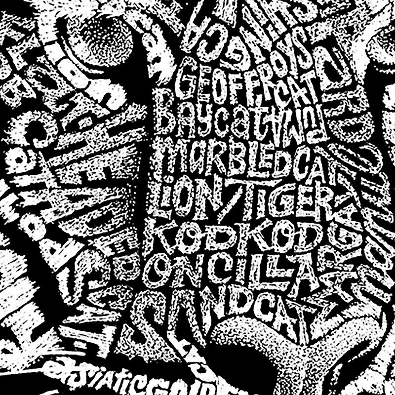 LA Pop Art Men's Word T-Shirt - Big Cats