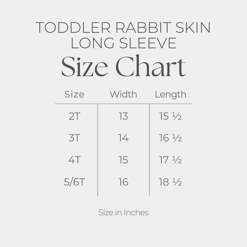 The Juniper Shop - Always Be Kind Stars Toddler Long Sleeve Graphic Tee