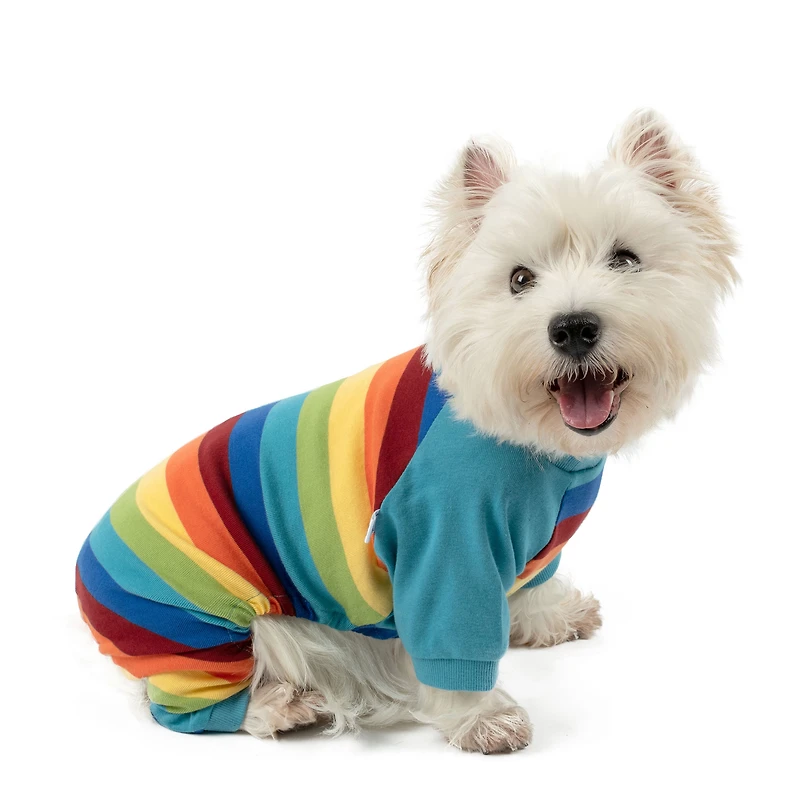 Leveret Dog Cotton Rainbow Striped Pajamas