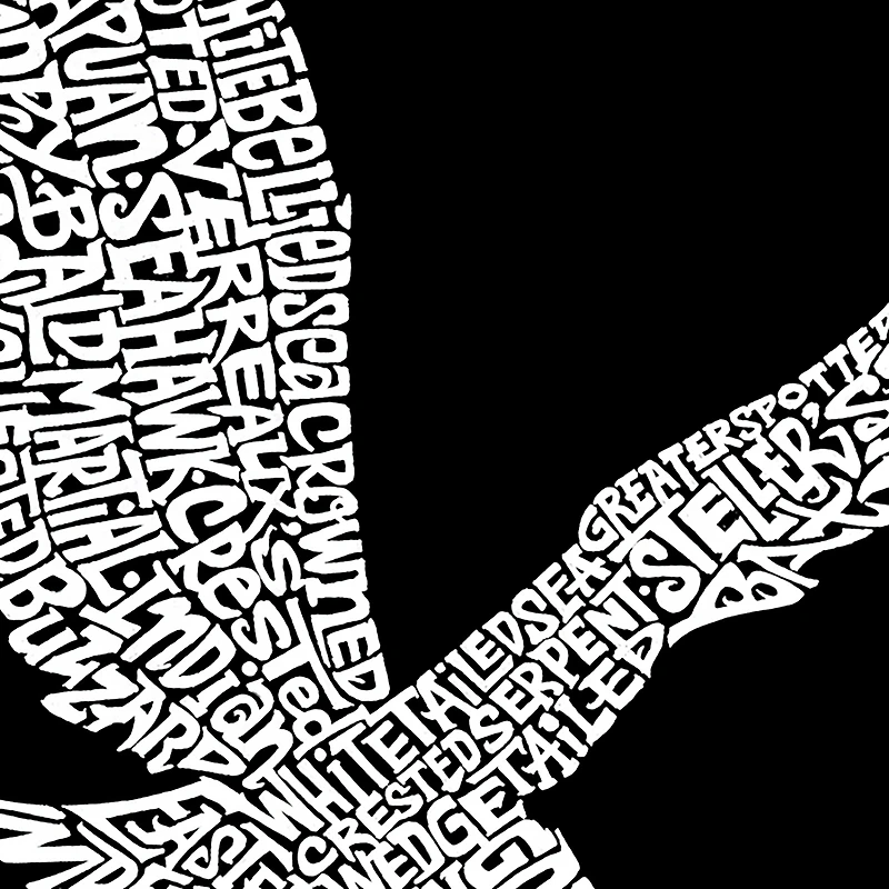 LA Pop Art Men's Word T-Shirt - Eagle